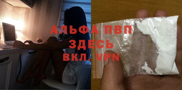 индика Алексин