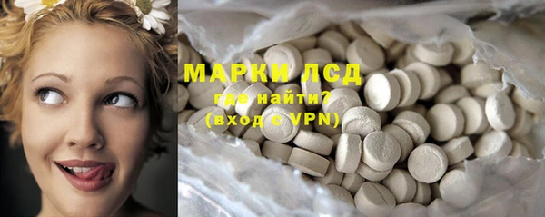 индика Алексин