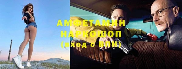 индика Алексин