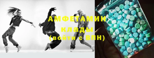 индика Алексин