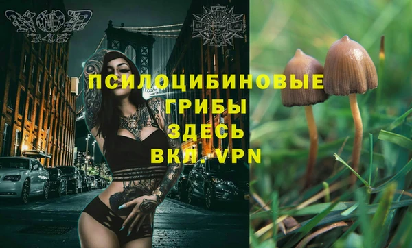 индика Алексин