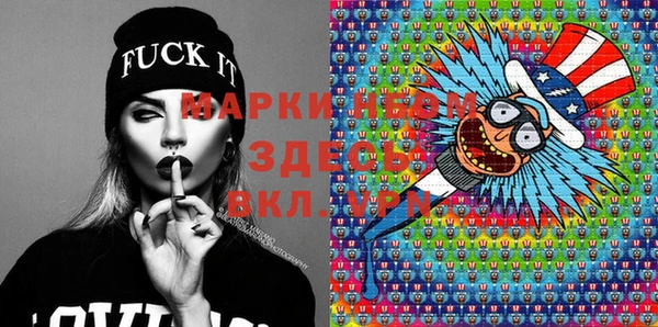 индика Алексин