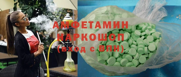 индика Алексин