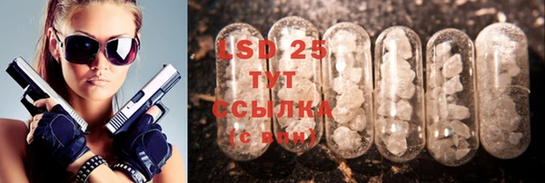 индика Алексин